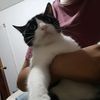 etiennevg24