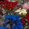 blume542