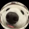 anhhiepdeptraivcl