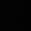 anyir270