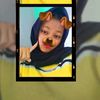 cillll195