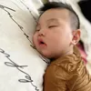 taphoamesochu88