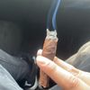 237lilrob7