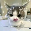 chik_kaw