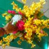 taniya.islam6831