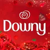 Downy Việt Nam