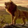 simba94x