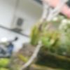 belanja_disini51