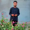 peshawaali