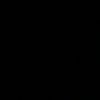 aurora._.rara