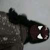 lam_isl_diya0.1