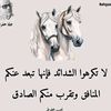 user6148051580039