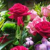 ahad5279