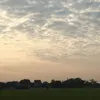 leo.1298