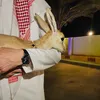 شريان ⚜️