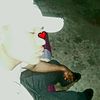 andress_23tree