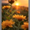 fatima.zehra162