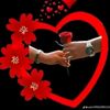 md.polas192