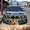 bmw_is_best30