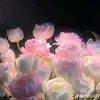 huynh.kim211