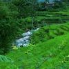 its_okey875