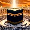 md.monier443