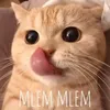nguoitheodoi25