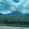anicochel1