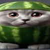 watermelon.rl1