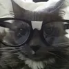 sooytheeditor2