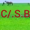 cabdilaahi.saleeb0