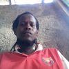 kingson11815