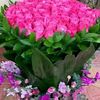 aa505dffhjjgdd