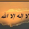 user6134143040428