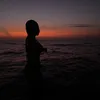 julia.mfdx