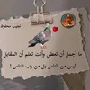 user8380677814456