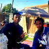 zd_abii