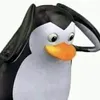 tani_arapova