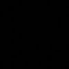 rwv.1l