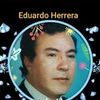 eduardoherrera0798