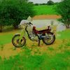 aliyu4537