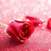 rose.khan__406