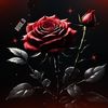 Rose.0 𒉭
