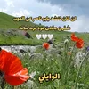 user7808352821856