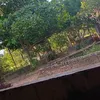 francisca.de.sous93