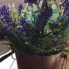 vera.amaral77