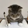 minhoverakktush