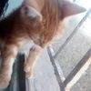 tokito_muchiro006