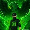 t.insano_ff