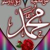 user20729880365811
